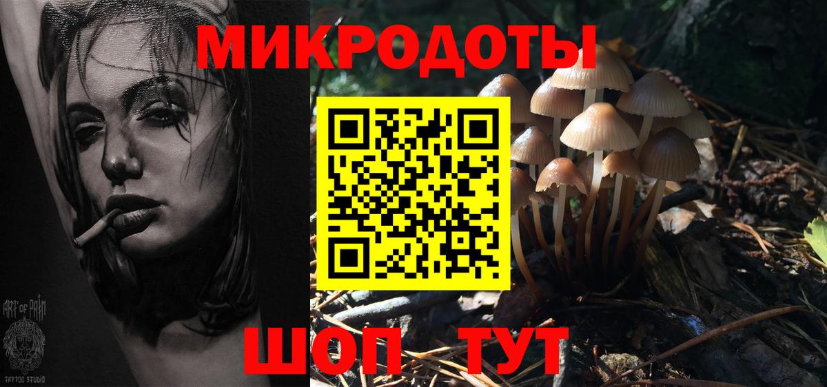 Галлюциногенные грибы Psilocybe  Вход с VPN  Сертолово 