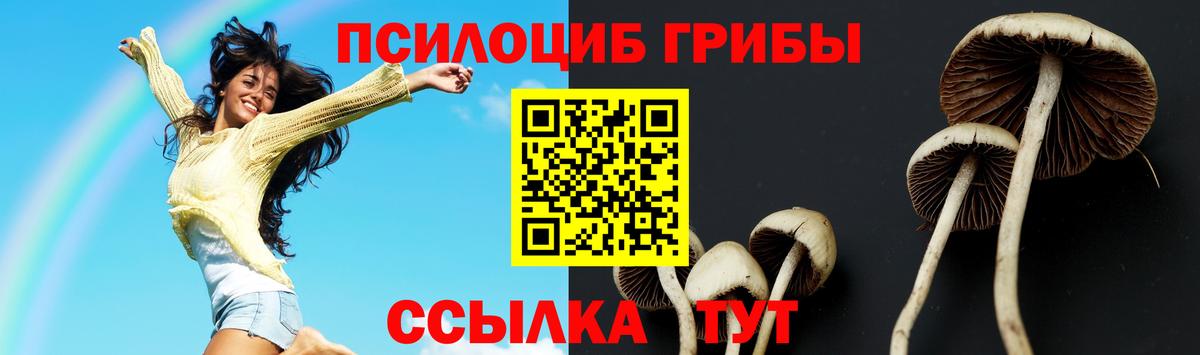 Псилоцибиновые грибы ЛСД Сертолово